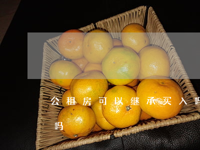 公租房可以继承买入吗(公租房可以继承买入吗)