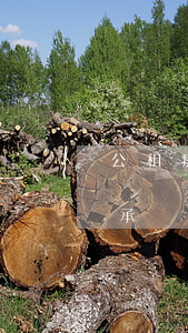 公租房可以買下來后可以繼承嗎(公租房有繼承權(quán)嗎?)