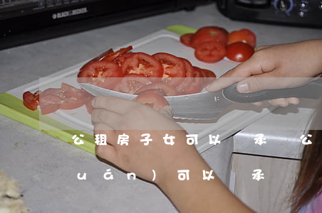 公租房子女可以繼承嗎(公租房的承租權(quán)可以繼承嗎?)