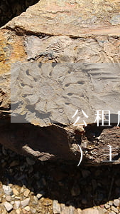 公租房房屋租賃合同糾紛(公租房與業(yè)主之間的糾紛)