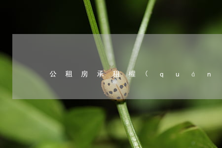 公租房承租權(quán)怎么繼承