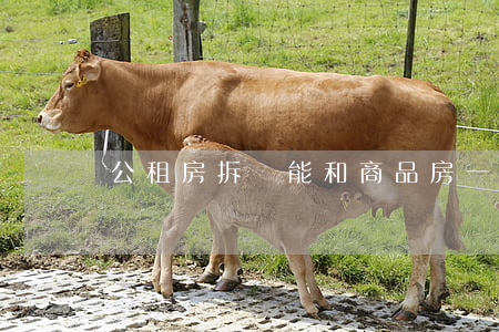 公租房拆遷,能和商品房一樣,獲得拆遷補償款嗎