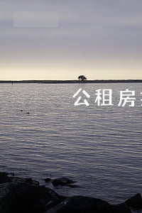 公租房摇号