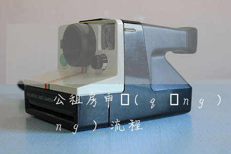 公租房申請(qǐng)(公租房申請(qǐng)流程)