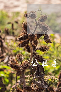 公租房申請表(公租房申請表格樣本)