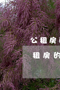 公租房的租賃權(quán)可以繼承嗎(公租房的租賃權(quán)可以繼承嗎)