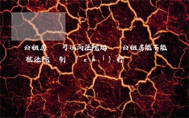 公租房糾紛可以向法院起訴嗎(公租房能不能被法院強制執(zhí)行)