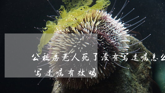 公租房老人死了没有写遗嘱怎么继承(公租房写遗嘱有效吗)