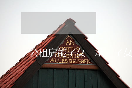 公租房能子女繼承嗎(子女有房可以繼承公房嗎)