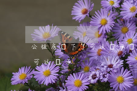 公租房買下了可以繼承嗎(公租房買斷后子女可以繼承)