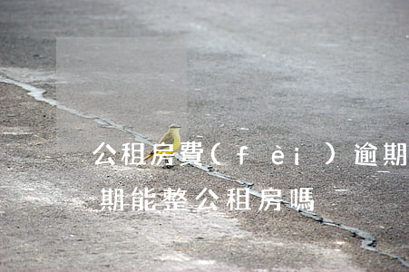公租房費(fèi)逾期怎么處理（信用卡逾期能整公租房嗎）
