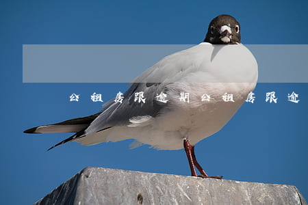 公租房跟逾期(公租房跟逾期房租怎么处理)