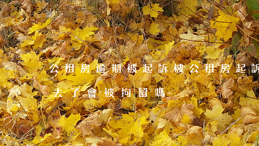 公租房逾期被起訴(被公租房起訴欠房租,開庭去了會被拘留嗎)
