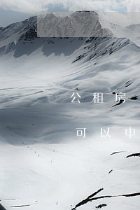 公租房還款會逾期嗎(網(wǎng)貸逾期可以申請公租房嗎)