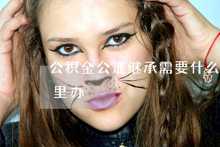 公积金公证继承需要什么手续(继承公证在哪里办)