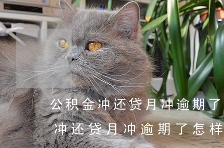 公积金冲还贷月冲逾期了怎样还款-公积金冲还贷月冲逾期了怎样还款呢
