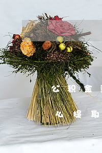 公积金封存后怎么提取(深圳公积金封存后怎么提取)