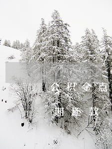 公积金点贷逾期怎么协商还款 公积金贷款逾期还款