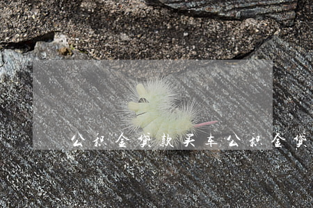 公积金贷款买车(公积金贷款买车流程图)