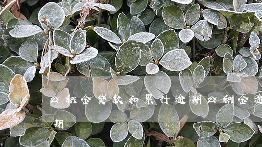 公积金贷款和累计逾期(公积金逾期多久算逾期)