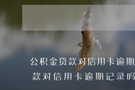 公积金贷款对信用卡逾期记录吗-公积金贷款对信用卡逾期记录吗有影响吗