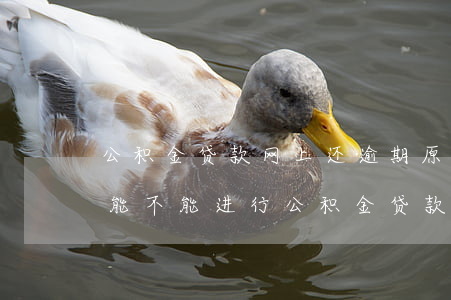 公积金贷款网上还逾期(原来有过逾期记录还能不能进行公积金贷款)