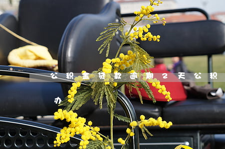 公积金贷款逾期2天(公积金贷款逾期三天咋办)