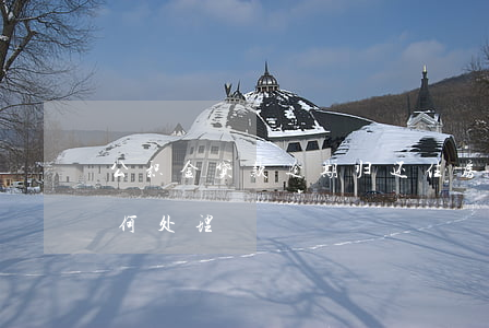 公积金贷款逾期归还(住房公积金还贷逾期如何处理)
