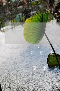 公积金还款状态逾期(公积金贷款还款逾期记录怎么处理?)
