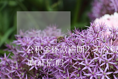 公积金还款逾期2天(公积金还款逾期2天影响征信吗?)