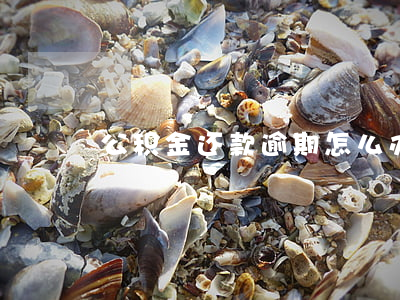 公积金还款逾期怎么办(公积金逾期怎么处理)