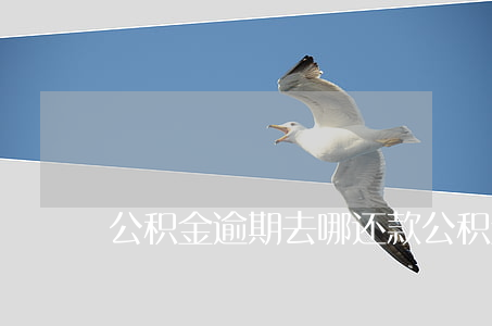 公积金逾期去哪还款(公积金逾期了怎么还款)