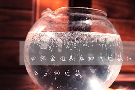 公积金逾期后如何还款(住房公积金逾期了,怎么主动还款)