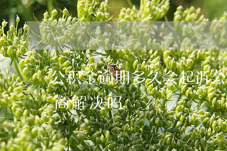 公积金逾期多久会起诉 公积金逾期起诉能协商解决吗
