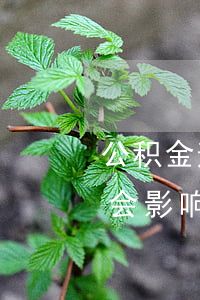 公积金逾期影响还款吗(公积金逾期一天还款会影响征信吗)