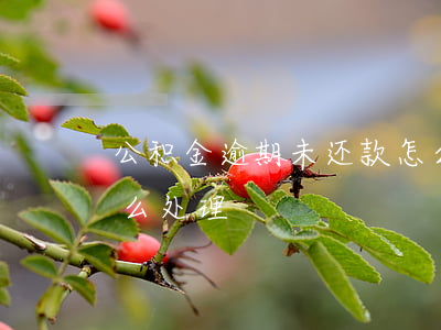 公积金逾期未还款怎么办(公积金还款逾期怎么处理)