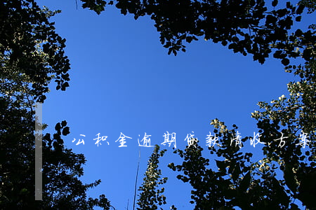 公积金逾期贷款清收方案（公积金逾期贷款）