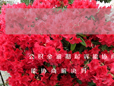 公积金逾期起诉能协商吗-公积金逾期起诉能协商解决吗