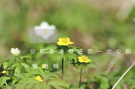 公积金逾期还款一次(公积金忘还款了算一次逾期吗)