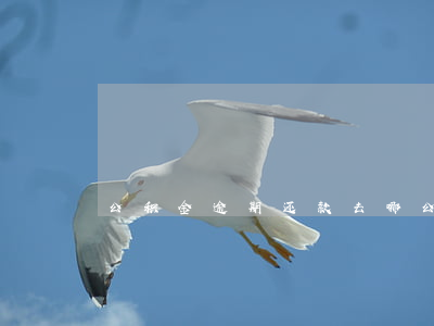 公积金逾期还款去哪(公积金逾期还款去哪)