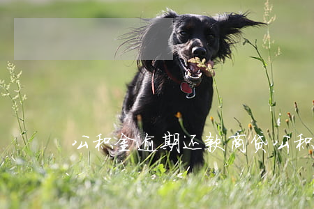 公积金逾期还款商贷(公积金逐月还商贷)