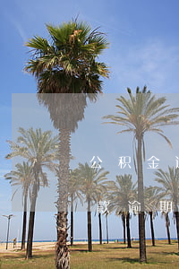 公积金逾期还款怎么补交(住房公积金贷款还款逾期了怎么办)