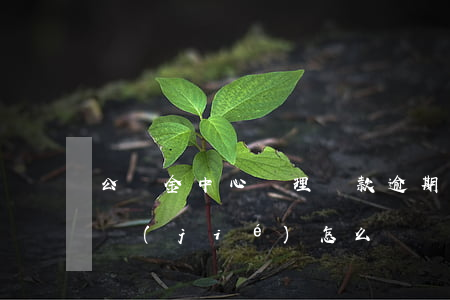 公積金中心處理貸款逾期(貸款逾期公積金凍結(jié)怎么辦)