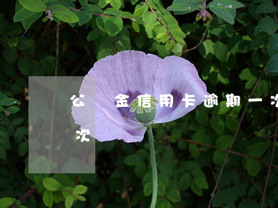 公積金信用卡逾期一次(公積金信用卡逾期一次)
