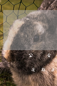 公積金信用卡逾期政策上海(上海公積金征信逾期次數(shù))