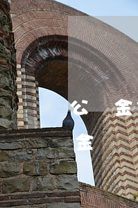 公積金信用卡逾期政策（信用卡逾期1次公積金）