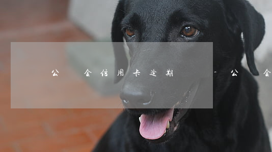 公積金信用卡逾期記錄-公積金征信逾期