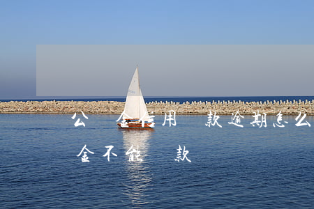 公積金信用貸款逾期怎么辦（信用卡逾期公積金不能貸款）
