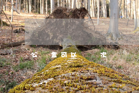 公積金可以貸幾次