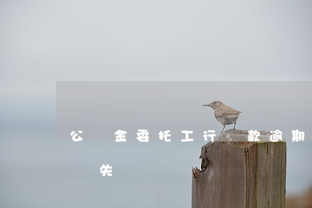 公積金委托工行還款逾期(公積金委托還貸解約失敗)